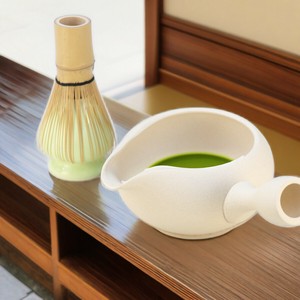 Tokoname ware Japanese Teapot