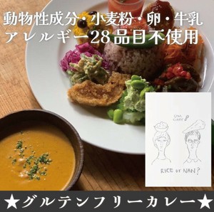 STAR CURRY（スターカレー）　ビーガン｜動物性食材不使用｜アレルギー特定材料等28品目不使用｜パウチ