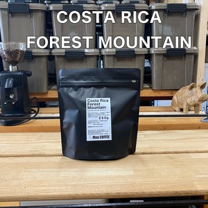 Coffee/Cocoa Forest