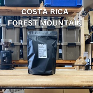 Coffee/Cocoa Forest