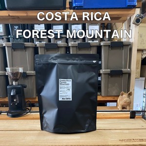 Coffee/Cocoa Forest