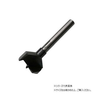 スターエム　丁番錐A(先ネジ)　25　13A-250