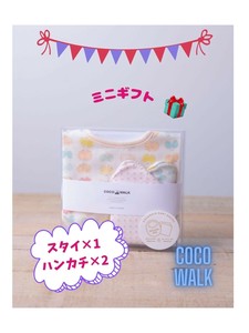 ミニギフトBOX(リボンチョウチョ)【日本製】