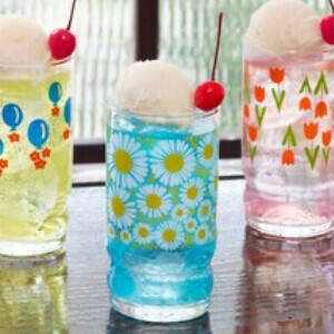 Adelia Adelia Retro Cup/Tumbler Gift-boxed Made in Japan