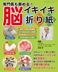 手工/工艺书籍 折纸