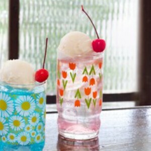 Adelia Adelia Retro Cup/Tumbler Gift-boxed Made in Japan