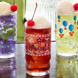 Adelia Adelia Retro Cup/Tumbler Gift-boxed Made in Japan