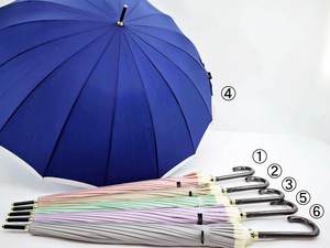 Umbrella Bicolor