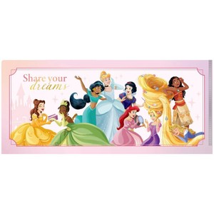 【ファイル】ディズニープリンセス チケットホルダー
