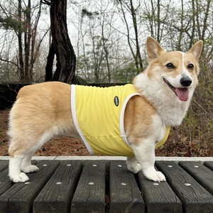 Dog Clothes Cropped Tank Top Summer Corgi Cool Touch