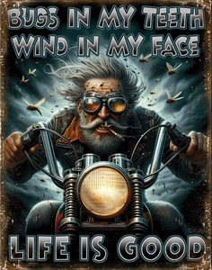 【サイン】ティン サイン Old Biker DE-MS2906