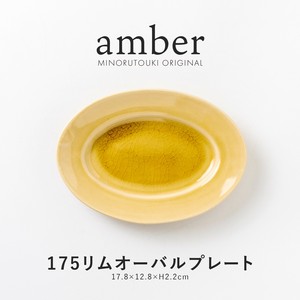 美浓烧 大餐盘/中餐盘 餐具 日本制造