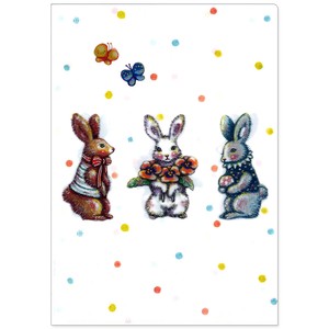 2025年新商品 文件夹/笔记本 插画 透明资料夹 220 x 310mm