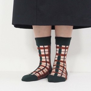 短袜 女士 袜子 透视 杂货 春夏