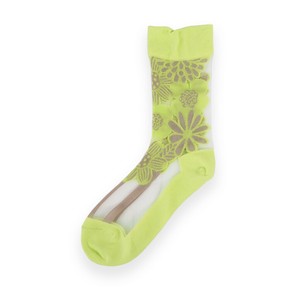 Crew Socks Ladies fashion Socks Knickknacks [S/S NEW]