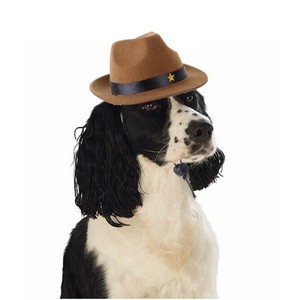 帽子  犬猫 ペット用品 MBQ295