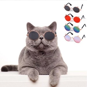 メガネ  犬猫 ペット用品    MBQ304