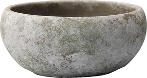 Pot/Planter Garden