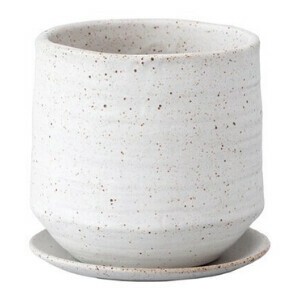 Pot/Planter Garden Pottery