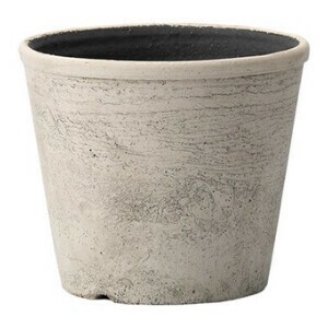 Pot/Planter Garden