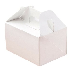シモジマ HEIKO(ヘイコー) 004247821 エコパームBOX キャリーS 20個