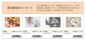 【予約品】森の動物ポストカード《 6/22(日) 予約〆切り》
