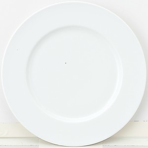 Mino ware Main Plate 27cm Made in Japan