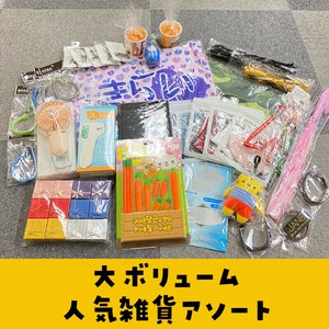 2025 福袋 春夏Ver.  NEW 雑貨アソート 処分特価 在庫限り 現行商品
