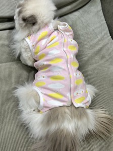 ペット服  犬服 猫服 ペット用品  DYLA187