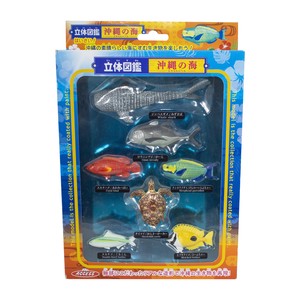 立体図鑑沖縄の海