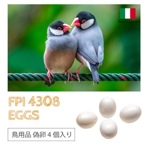 鸟用品 塑胶