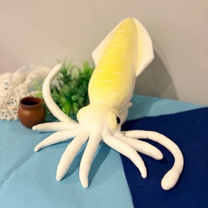 海と魚　イカ