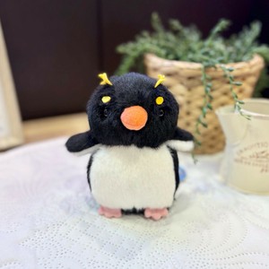 まるっとペンギン　イワトビペンギン