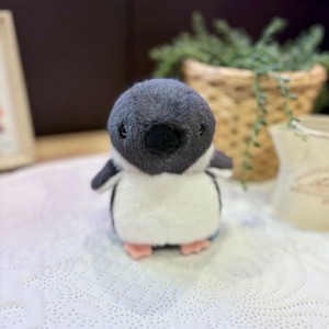 まるっとペンギン　フェアリーペンギン