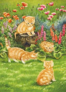 拼图 Jigsaw Puzzle 猫