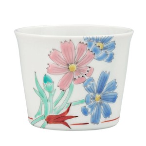 Kutani ware Tableware Made in Japan