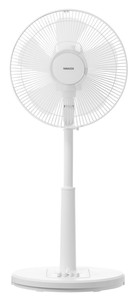 Pedestal Fan