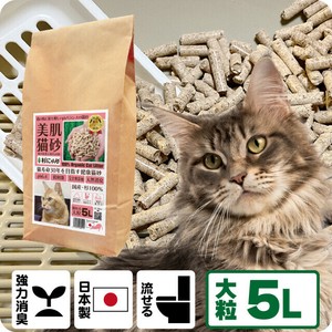 杉にゃん本舗