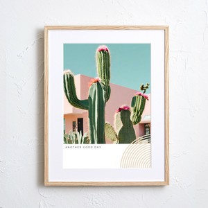 【アートポスター】ボタニカル サボテン 植物 ナチュラル おしゃれ写真イラスト A4A3A2