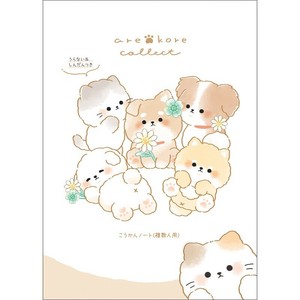 ■2025SS　先行予約■　あそべるB6交換ノート　アレコレコレクト
