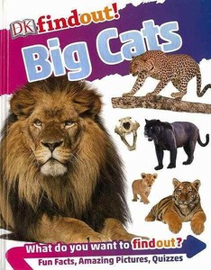 【洋書アウトレット】 findout！　Big　Cats 動物/どうぶつ/児童書/インテリア/雑貨