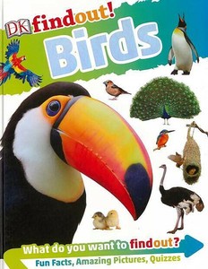【洋書アウトレット】 findout！　Birds［動物］［どうぶつ］/インテリア/雑貨