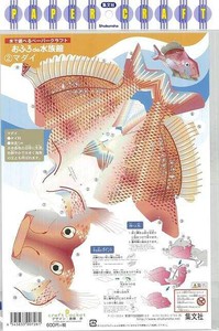 Handicrafts/Crafts Book Animals Papercraft