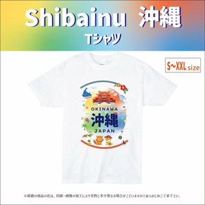柴犬　沖縄　Tシャツ　和柄　日本　外国人観光客　インバウンド　土産　人気　シーサー かわいい　首里城