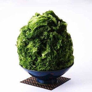 【数量限定販売　発売中】YM2有機抹茶 1kg＿＿organic 　※※売切り後終売となります。