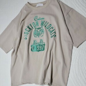天竺タイガーカレッジ刺繍T（tiger college embroidery T）2025SS