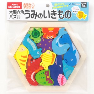 Education/Craft