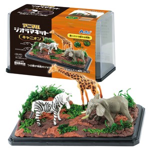 Experiment/Craft Kit