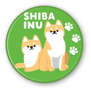 Magnet/Pin