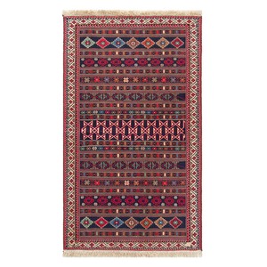 キリム　ペルシャ　イラン　オーガニックウール　絨毯　ラグサイズSS　66×113cm　K572_CL